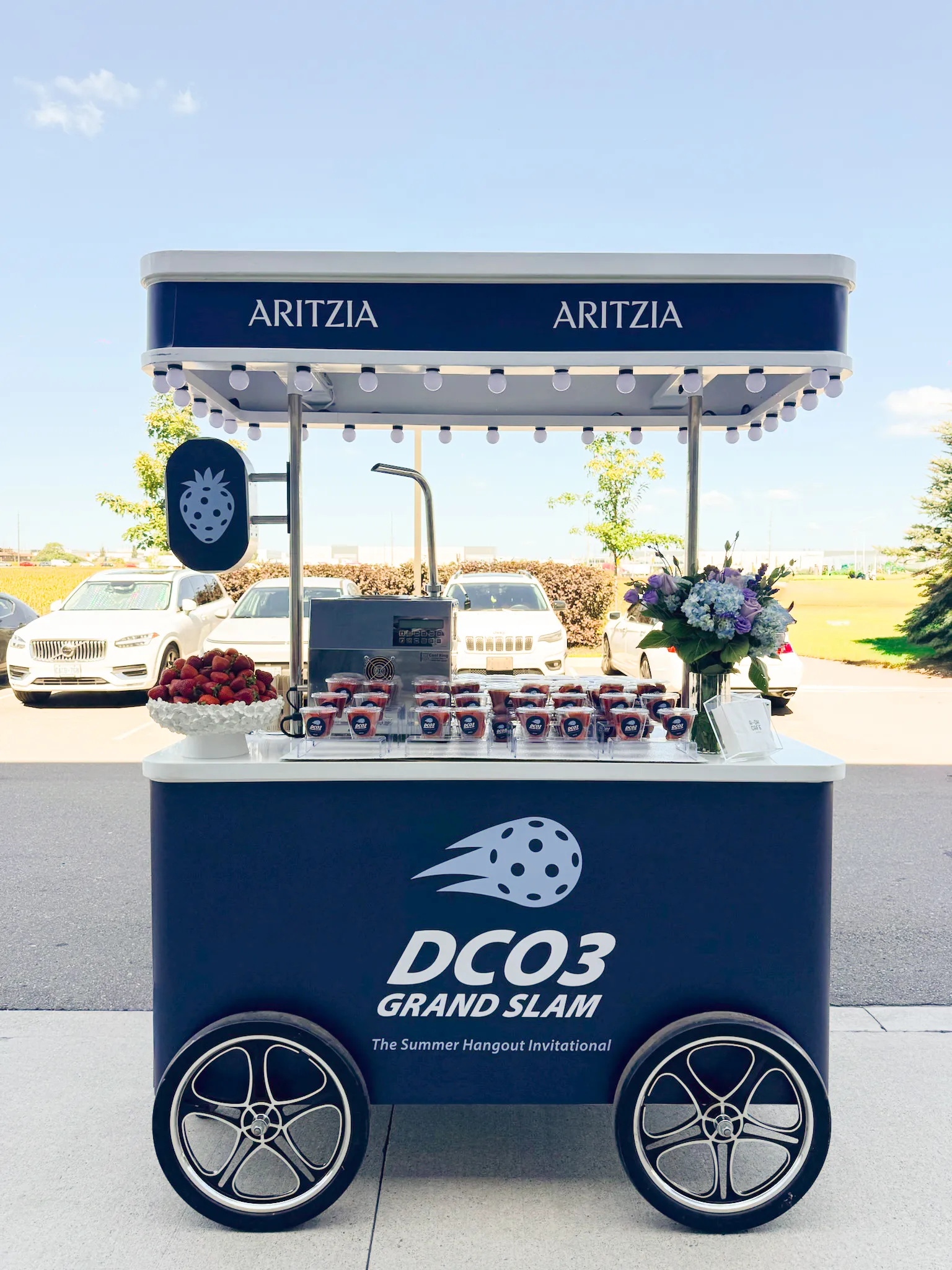 Aritzia-Summer-Hangout-Cart.webp