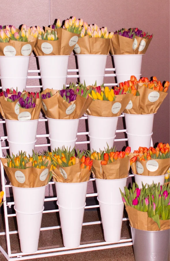 Luv-Blossom-New.webp