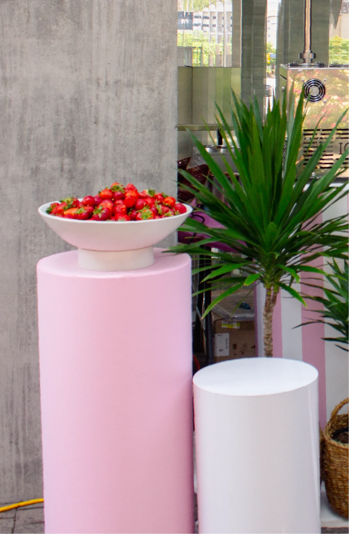 Plinths & display surfaces
