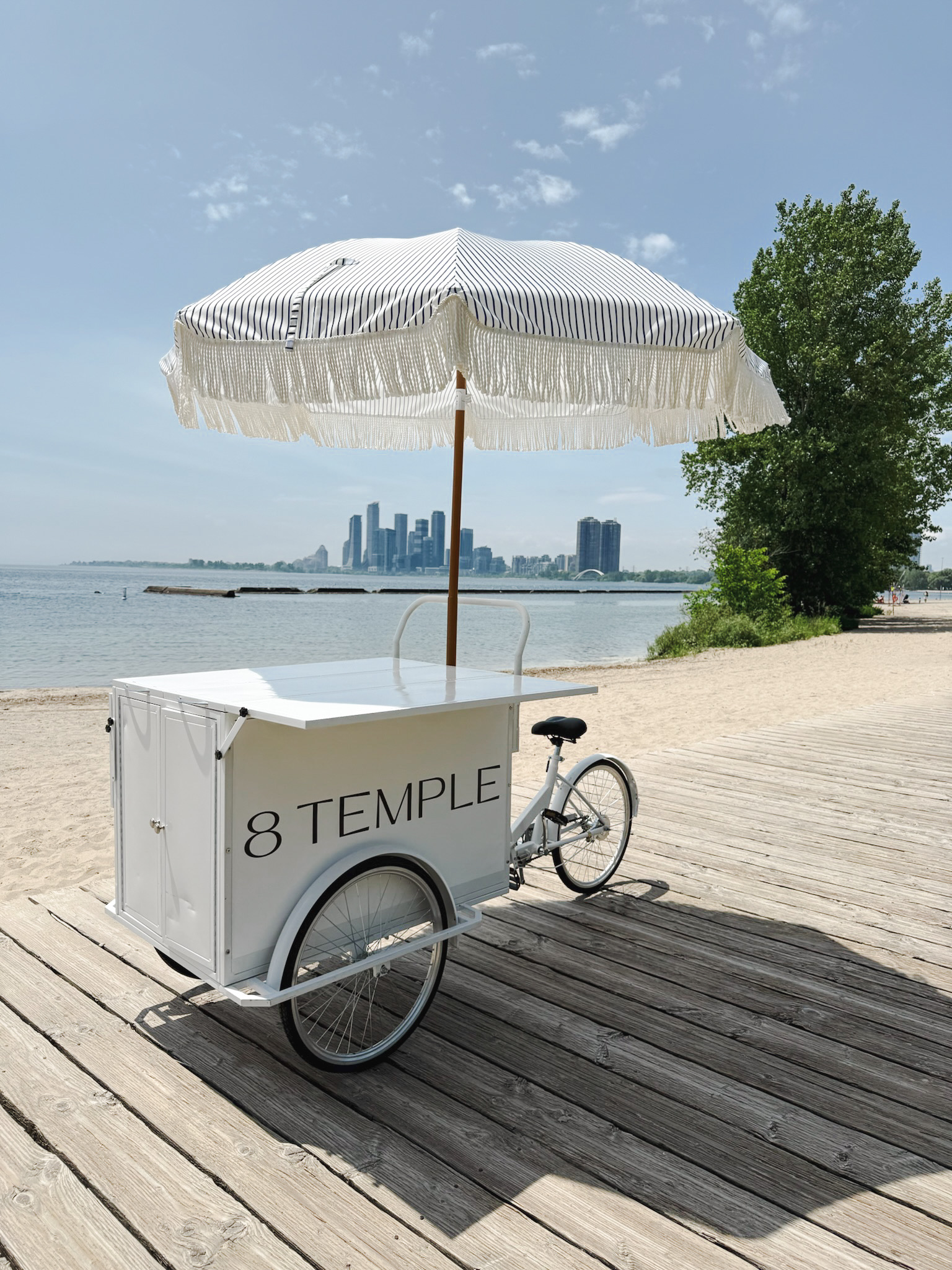 T8-Cart-Beach.jpg