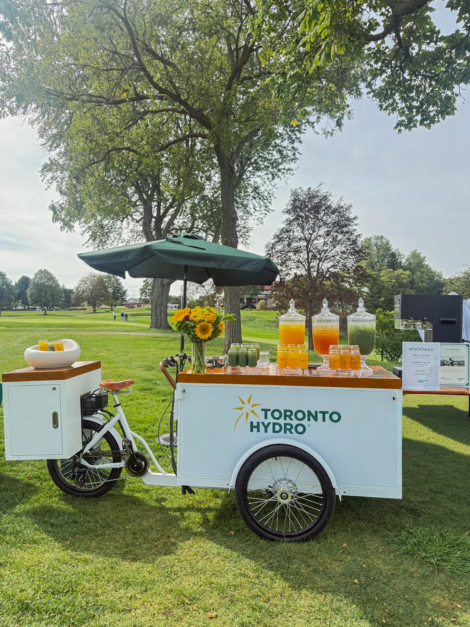 Toronto-Hydro-Golf-04.webp