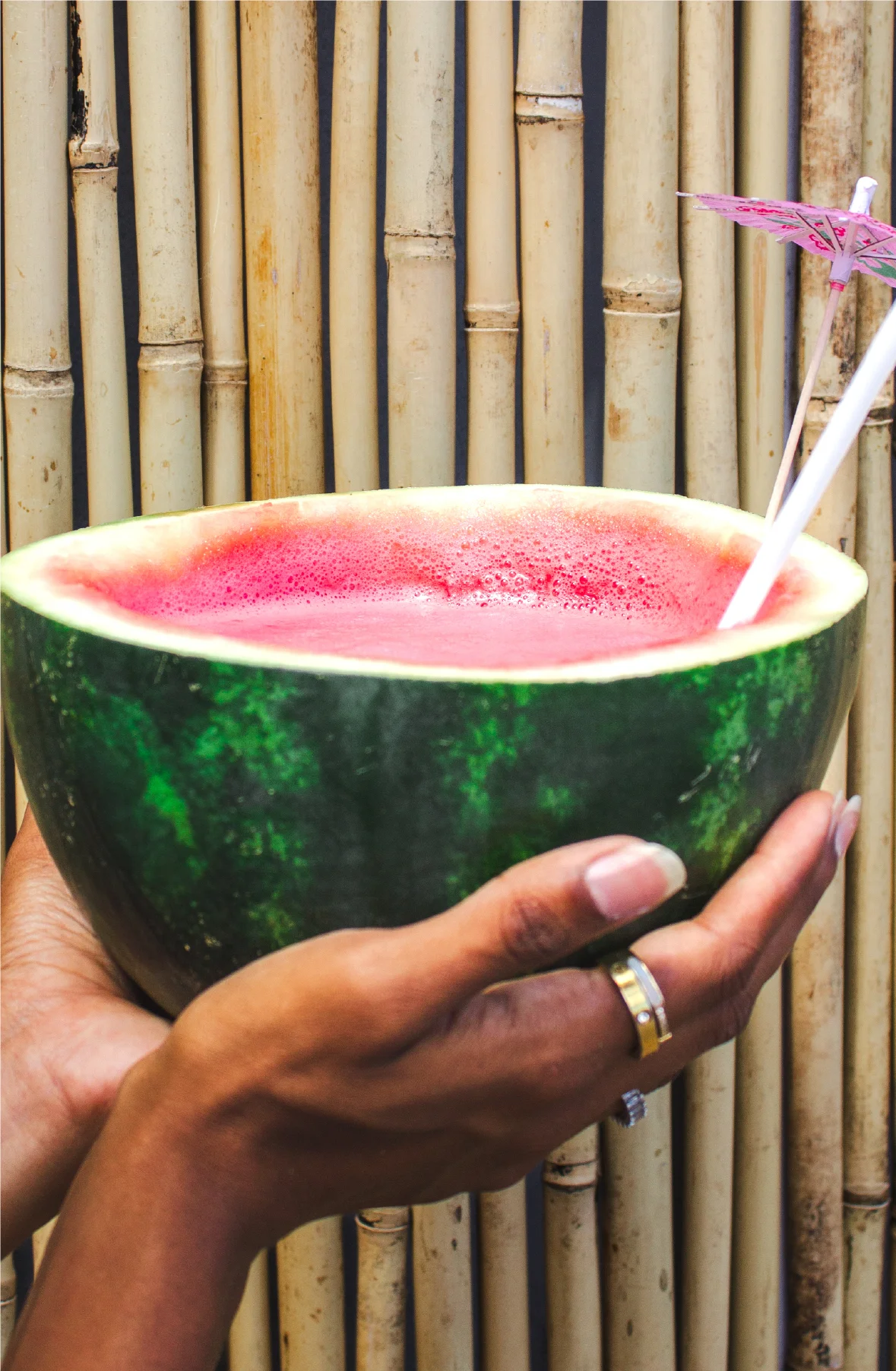Tropic-Love-New.webp