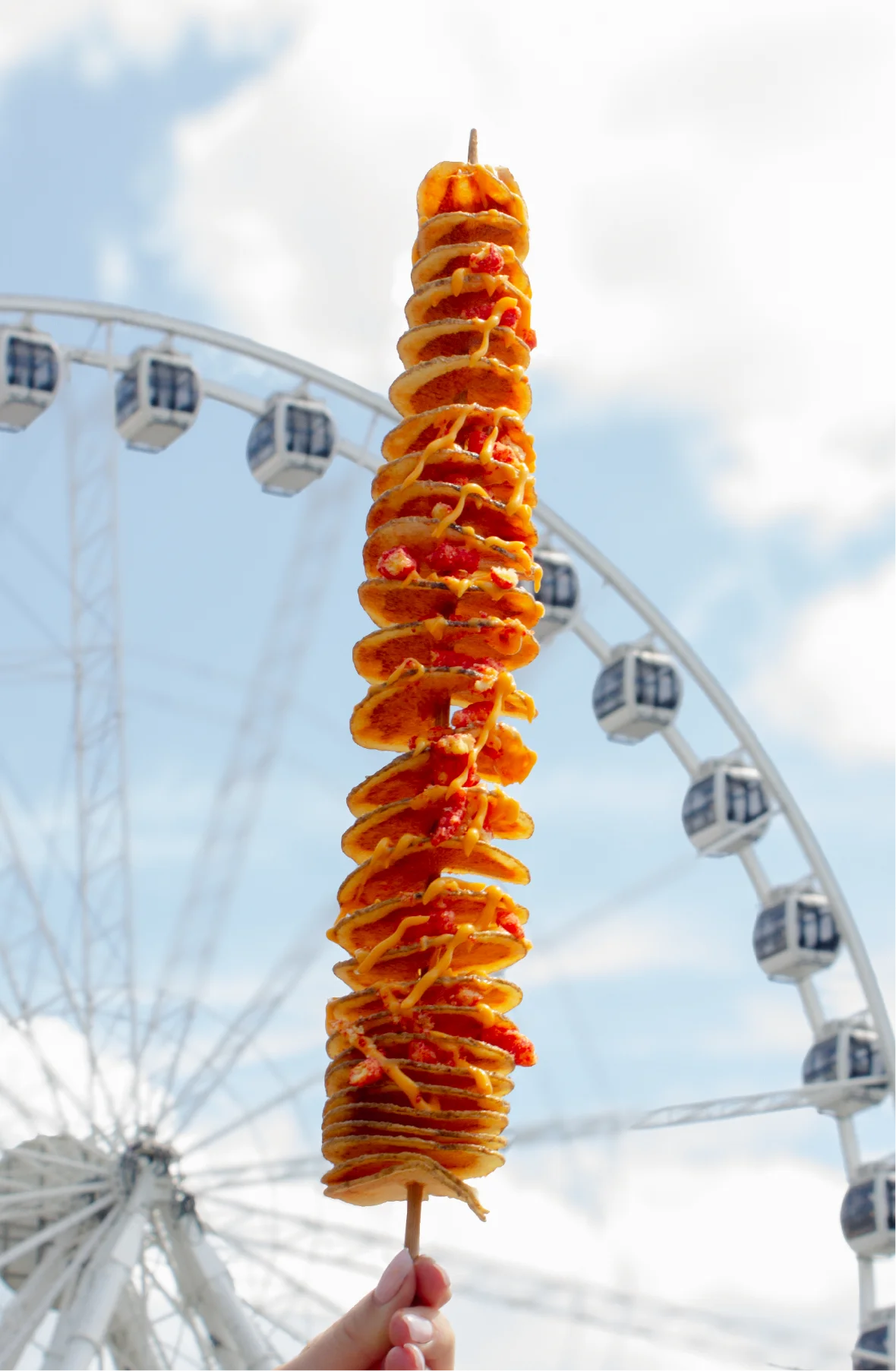 Twisty-Potato-New.webp