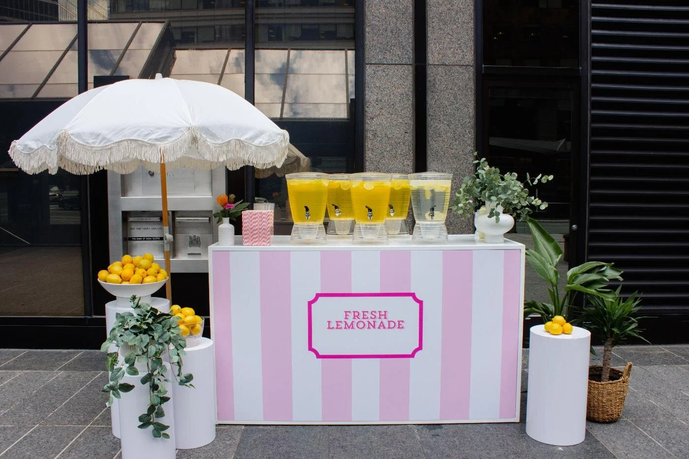 The Ultimate Guide to Hosting a Tenant Appreciation Party in Toronto